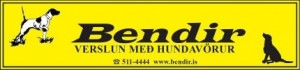 bendir-logo-430x101